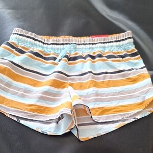 The North Face Shorts Striped Drawstring 4" Board Shorts Womens Size L New
